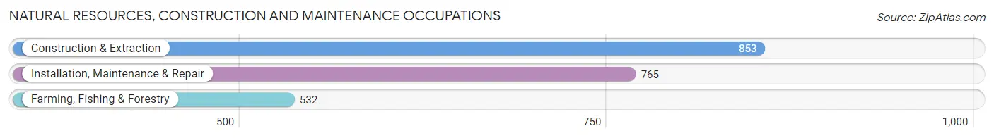 Natural Resources, Construction and Maintenance Occupations in Roswell