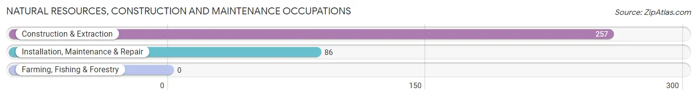 Natural Resources, Construction and Maintenance Occupations in Zip Code 10128
