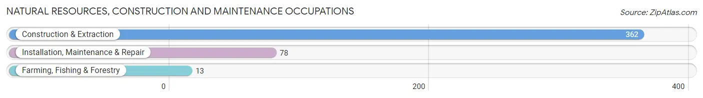 Natural Resources, Construction and Maintenance Occupations in Zip Code 14301