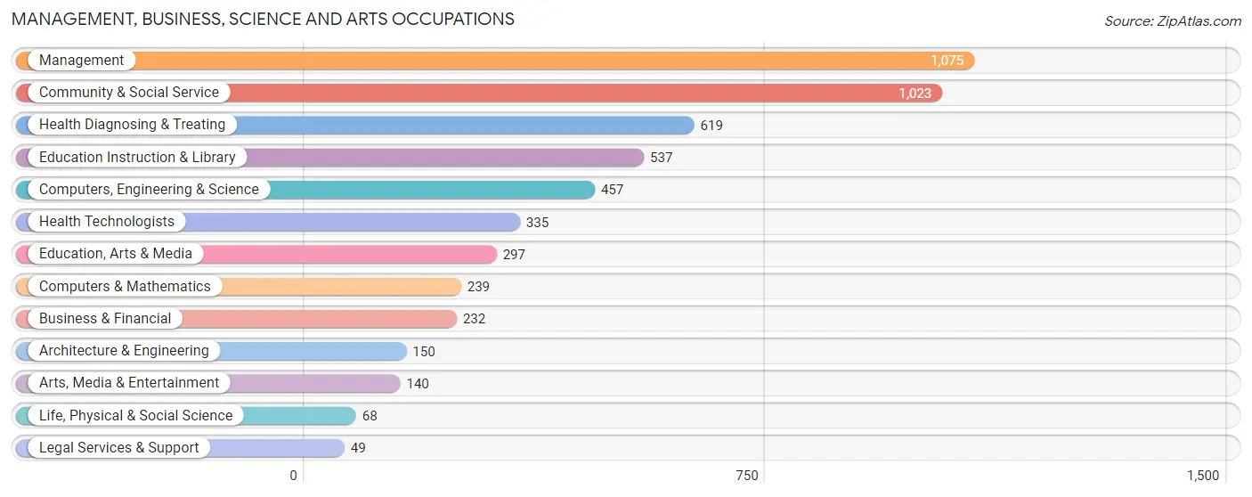 Management, Business, Science and Arts Occupations in Zip Code 19963