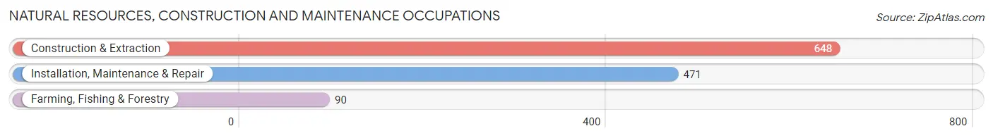 Natural Resources, Construction and Maintenance Occupations in Zip Code 19963