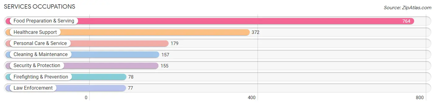 Services Occupations in Zip Code 19963