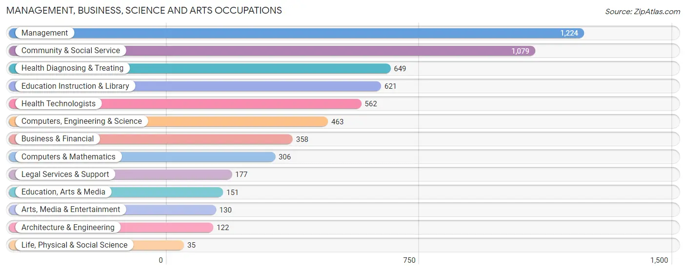 Management, Business, Science and Arts Occupations in Zip Code 33549