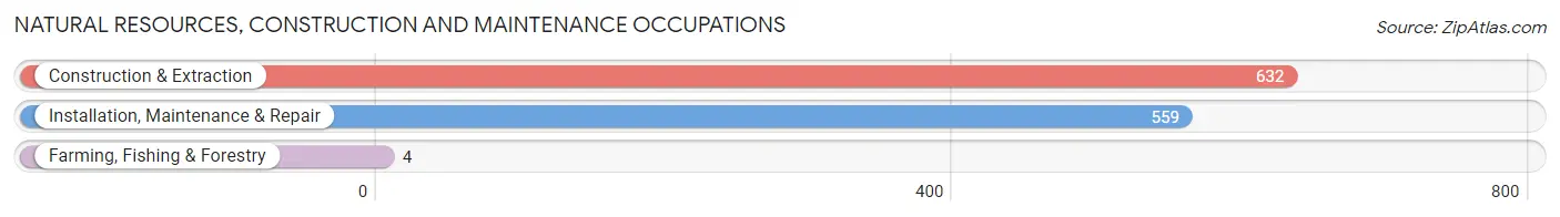 Natural Resources, Construction and Maintenance Occupations in Zip Code 44319