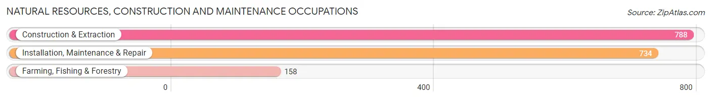 Natural Resources, Construction and Maintenance Occupations in Zip Code 56001