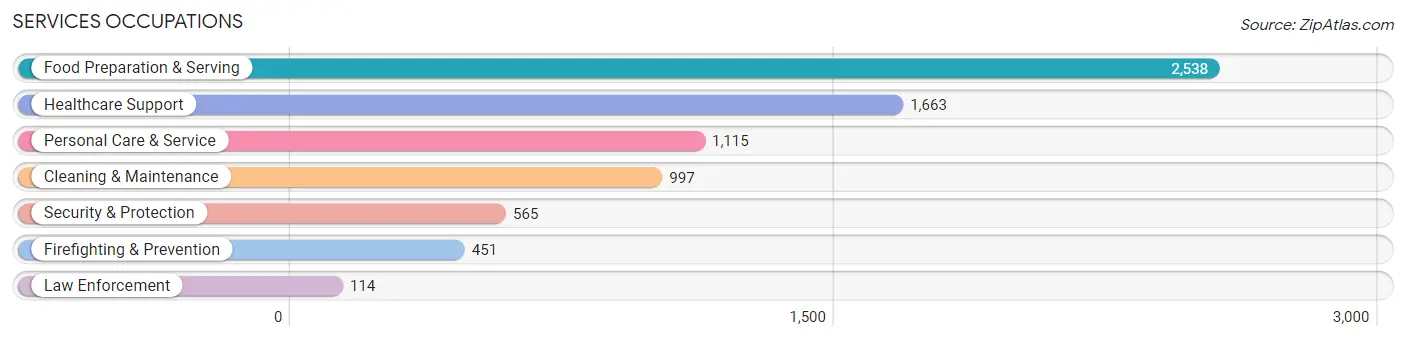 Services Occupations in Zip Code 56001