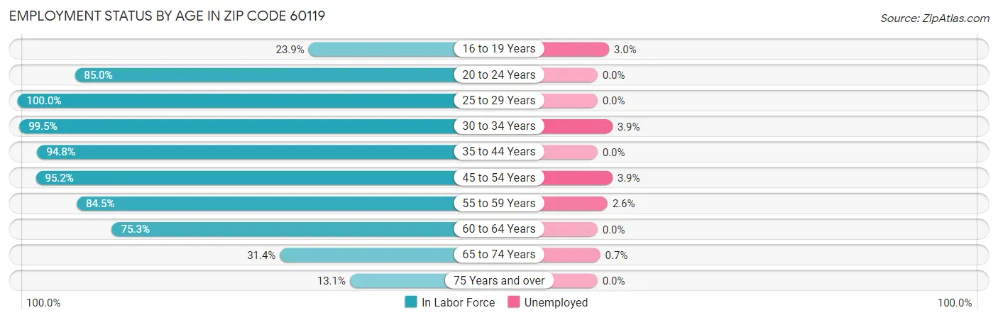 Employment Status by Age in Zip Code 60119