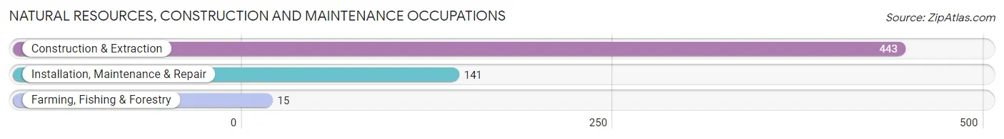 Natural Resources, Construction and Maintenance Occupations in Zip Code 60119