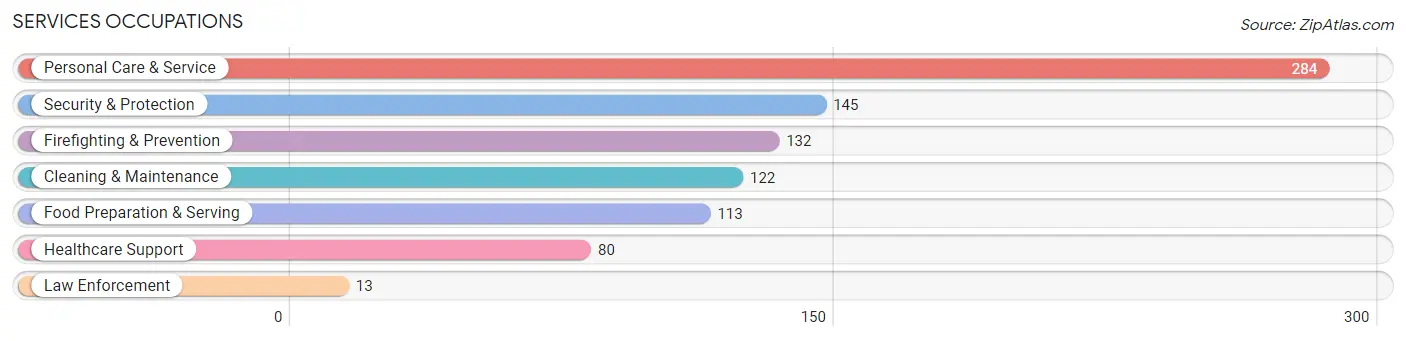 Services Occupations in Zip Code 60119