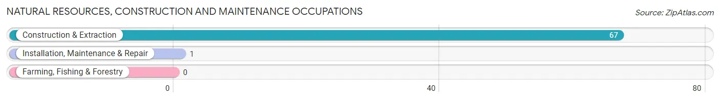 Natural Resources, Construction and Maintenance Occupations in Zip Code 73567