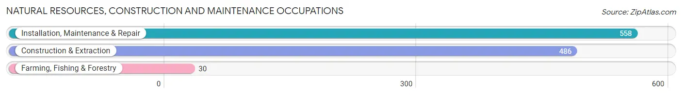 Natural Resources, Construction and Maintenance Occupations in Zip Code 85254
