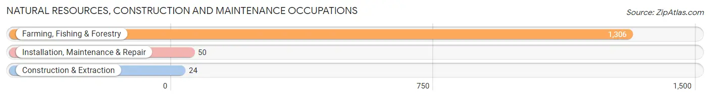 Natural Resources, Construction and Maintenance Occupations in Zip Code 93234