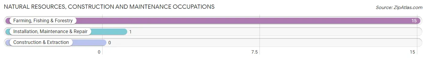 Natural Resources, Construction and Maintenance Occupations in Zip Code 98350